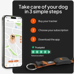 Weenect Pet GPS Tracker XT til hunde