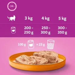 Whiskas 1+ dåser 12 x 400 g