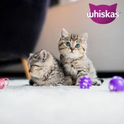 Whiskas Junior portionsposer 12 x 85 g