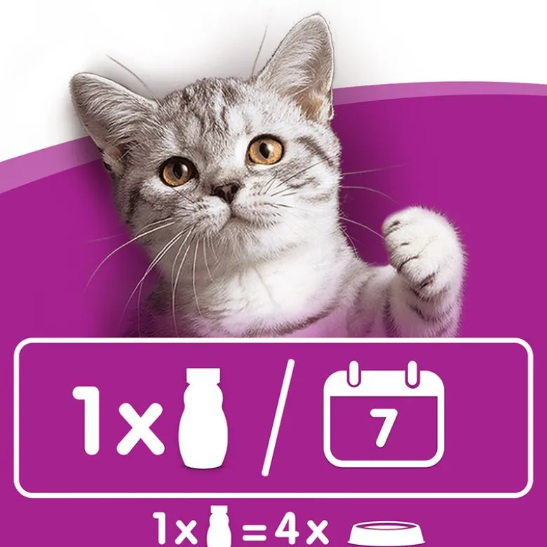 Whiskas kattemælk 200 ml