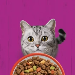 Whiskas 1+ oksekød