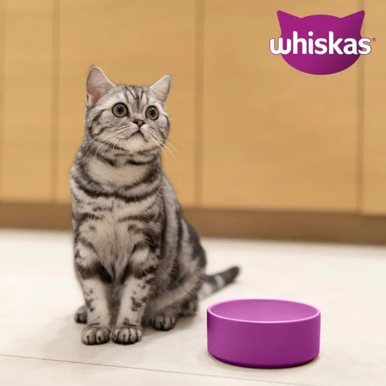 Whiskas 1+ oksekød