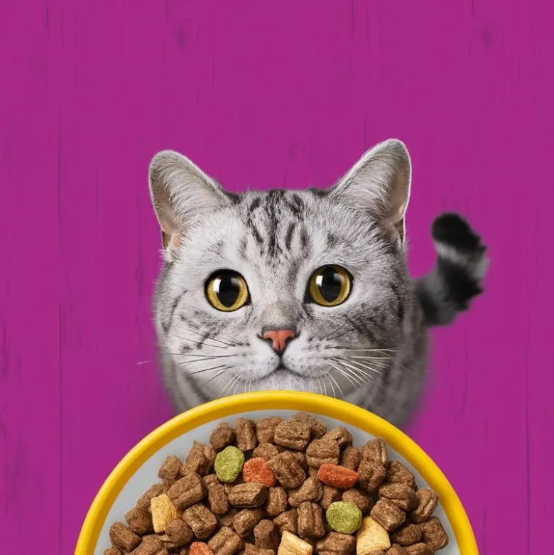 Whiskas 7+ Senior Kylling