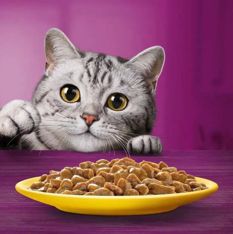 Whiskas Senior portionsposer 48 x 85 g
