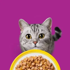 Whiskas 7+ Senior 24 x 85 g