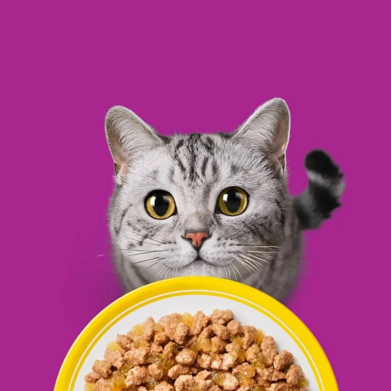 Whiskas 7+ Senior 24 x 85 g