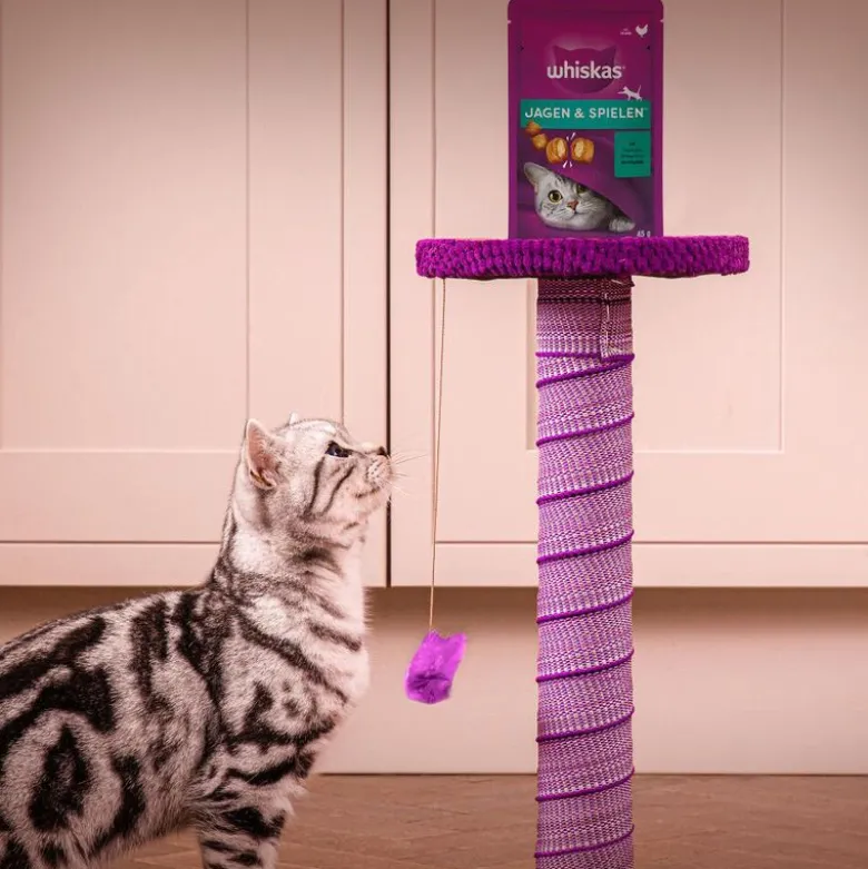 Whiskas Snacks Pounce & Play