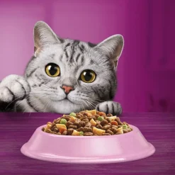 Whiskas 1+ Sterile kylling