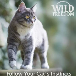 Wild Freedom Adult