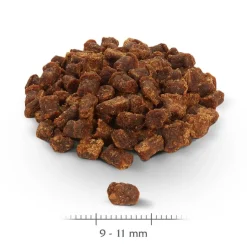 Wild Freedom Snack - Wild Bites 80 g (kornfri)