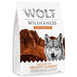 Wolf of Wilderness Adult