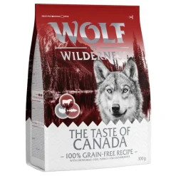 Wolf of Wilderness Adult