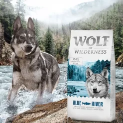 Wolf of Wilderness Adult