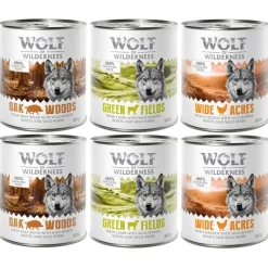 Wolf of Wilderness Adult 6 x 800 g - Single Protein