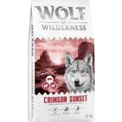 Wolf of Wilderness