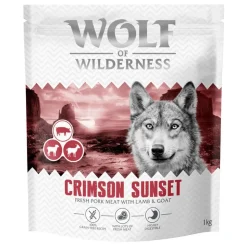 Wolf of Wilderness