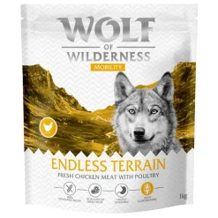 Wolf of Wilderness