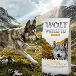 Wolf of Wilderness