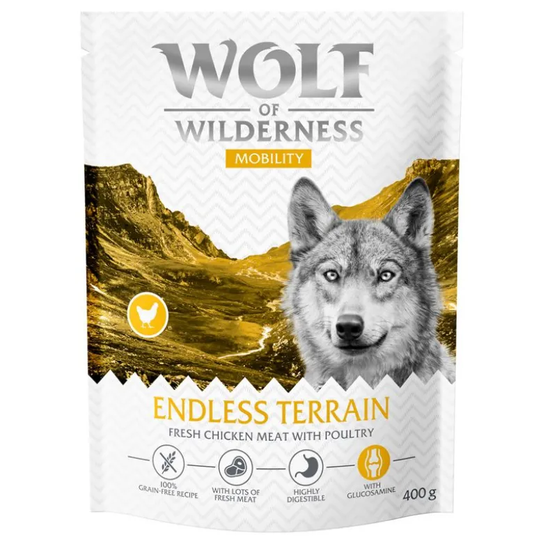 Wolf of Wilderness "Explore The Endless Terrain" - kornfri