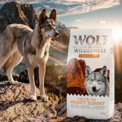 Wolf of Wilderness 