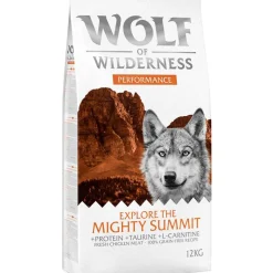 Wolf of Wilderness 