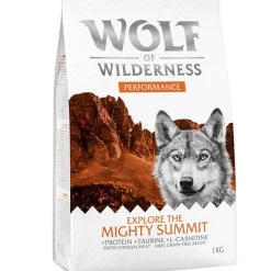 Wolf of Wilderness 