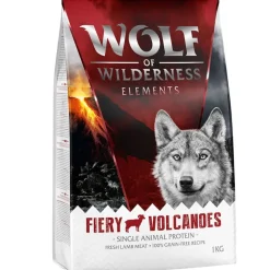 Wolf of Wilderness 