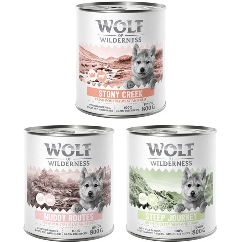 Wolf of Wilderness Junior “Expedition” 6 x 800 g