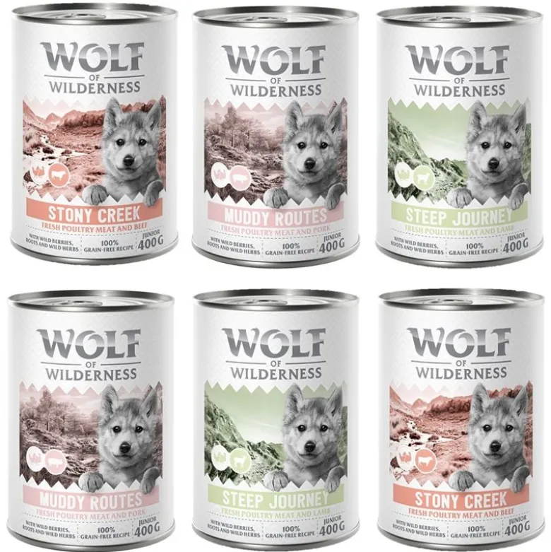 Wolf of Wilderness Junior “Expedition” 6 x 400 g
