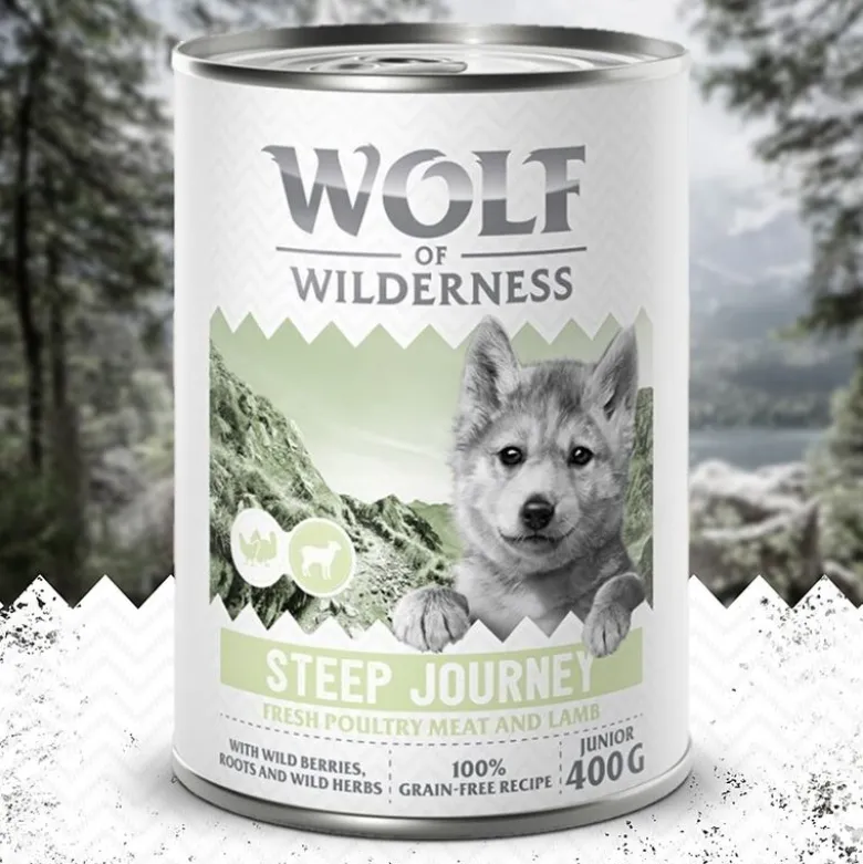 Wolf of Wilderness Junior “Expedition” 6 x 400 g