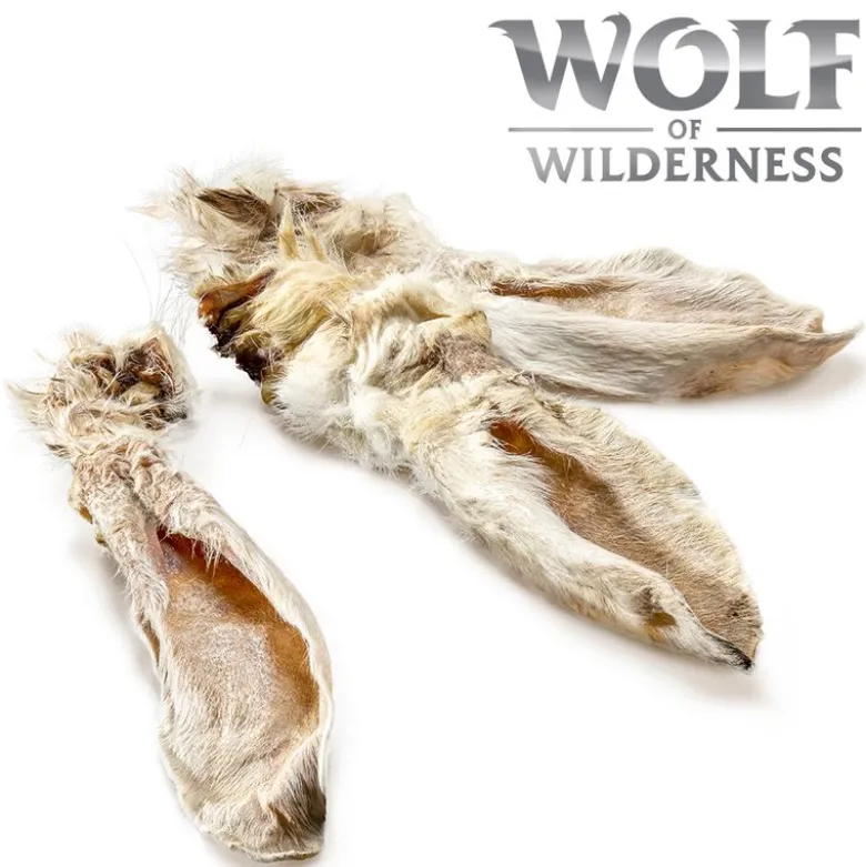 Wolf of Wilderness - Kaninører med pels