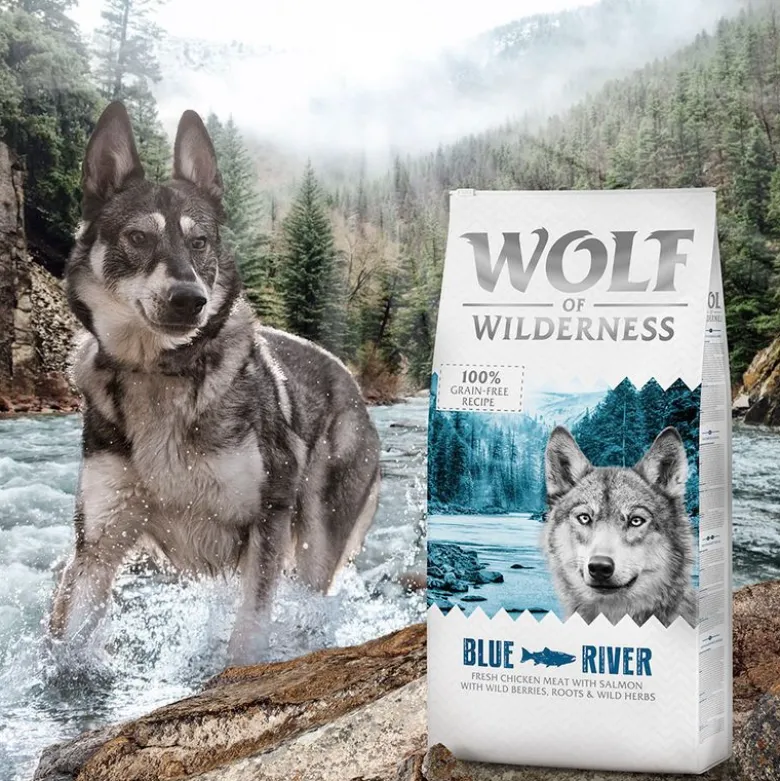 Wolf of Wilderness MINI "Blue River" - Laks KORNFRI