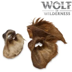 Wolf of Wilderness - Okseører med pels