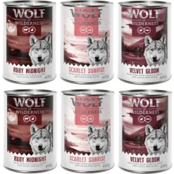 Wolf of Wilderness 