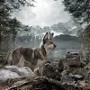 Wolf of Wilderness rejsetæppe til hunde