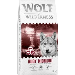 Wolf of Wilderness 