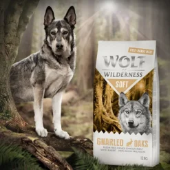 Wolf of Wilderness 