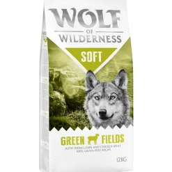 Wolf of Wilderness 