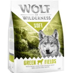Wolf of Wilderness 