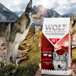 Wolf of Wilderness