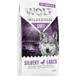 Wolf of Wilderness 