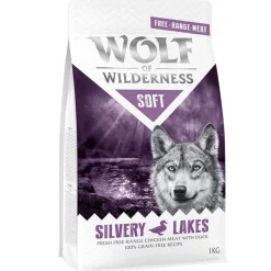 Wolf of Wilderness 