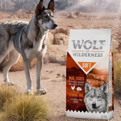Wolf of Wilderness