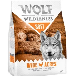 Wolf of Wilderness