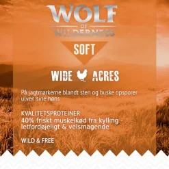 Wolf of Wilderness