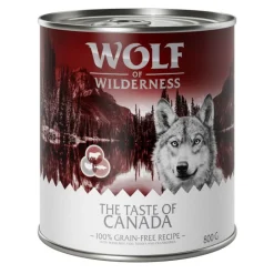 Wolf of Wilderness