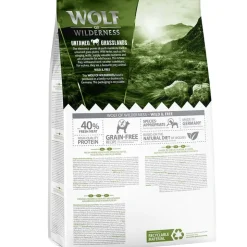 Wolf of Wilderness