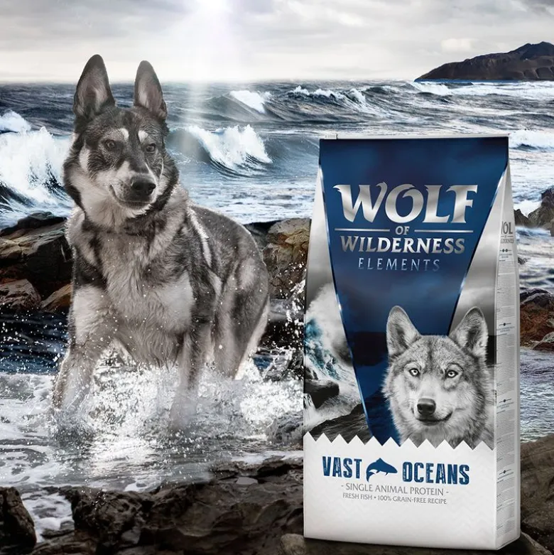 Wolf of Wilderness "Vast Oceans" Fisk - kornfri