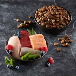 Wolf of Wilderness