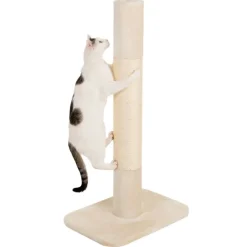 XXL Jumbo Kradsestamme